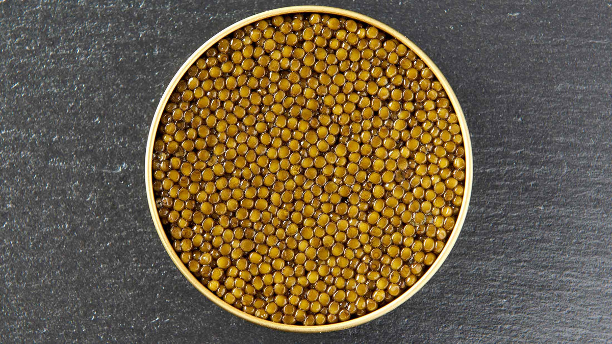Selection Caviar – fyldig hybrid med fast pop