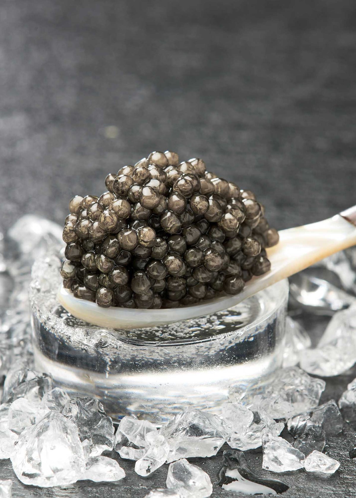 Beluga Caviar med sine store elefantgrå Caviar korn på en perlemorske