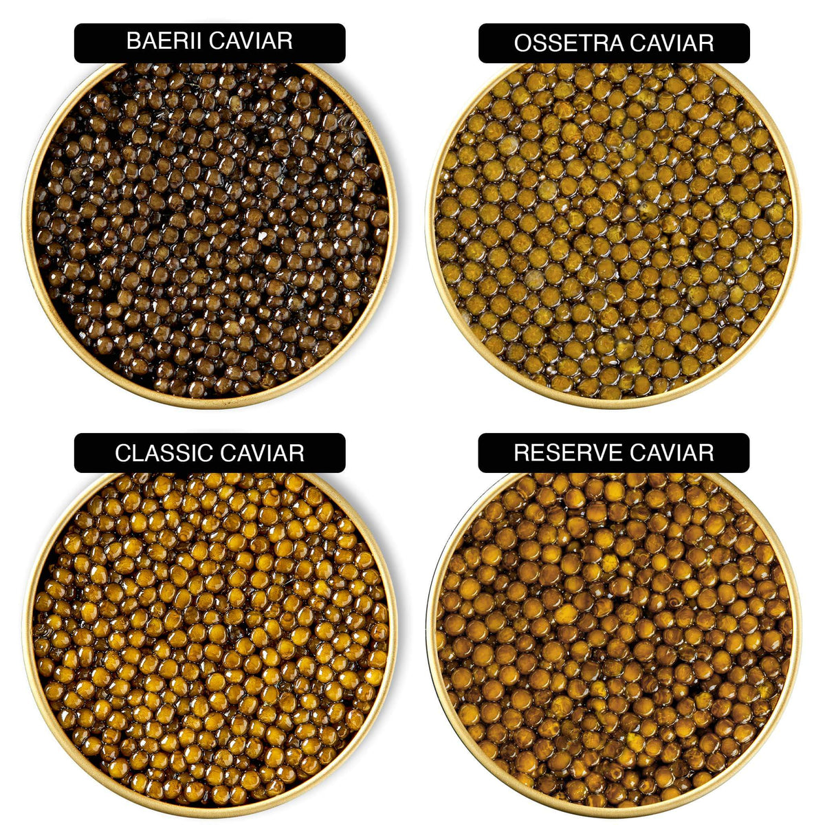 Caviar prøvepakken