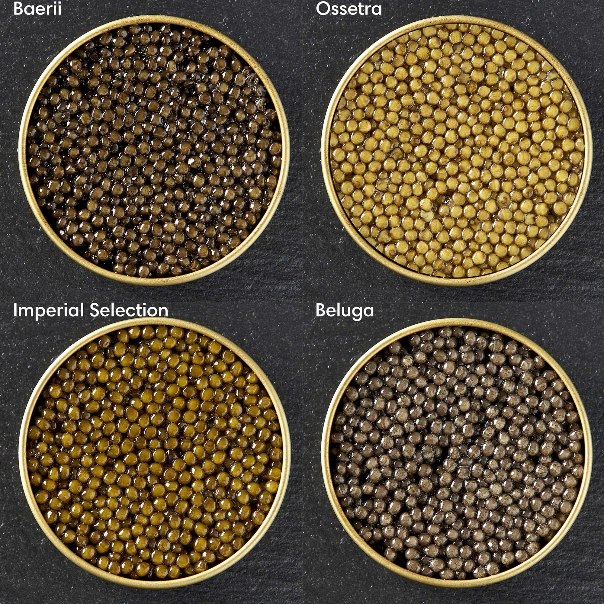 Prøvesmag: 4 varianter a hver 10 gram - PremiumCaviar